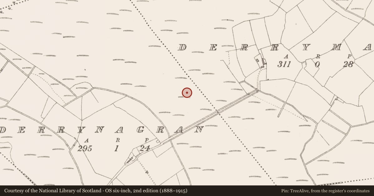 Ordnance Survey six-inch map, 2nd edition (1888–1915) covering the location of Road - class 3 togher, Derrynagran, County Longford, with a pin at the register's coordinates