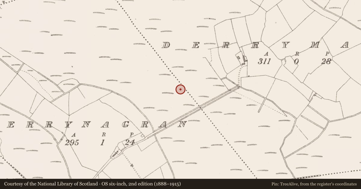 Ordnance Survey six-inch map, 2nd edition (1888–1915) covering the location of Road - class 3 togher, Derrynagran, County Longford, with a pin at the register's coordinates