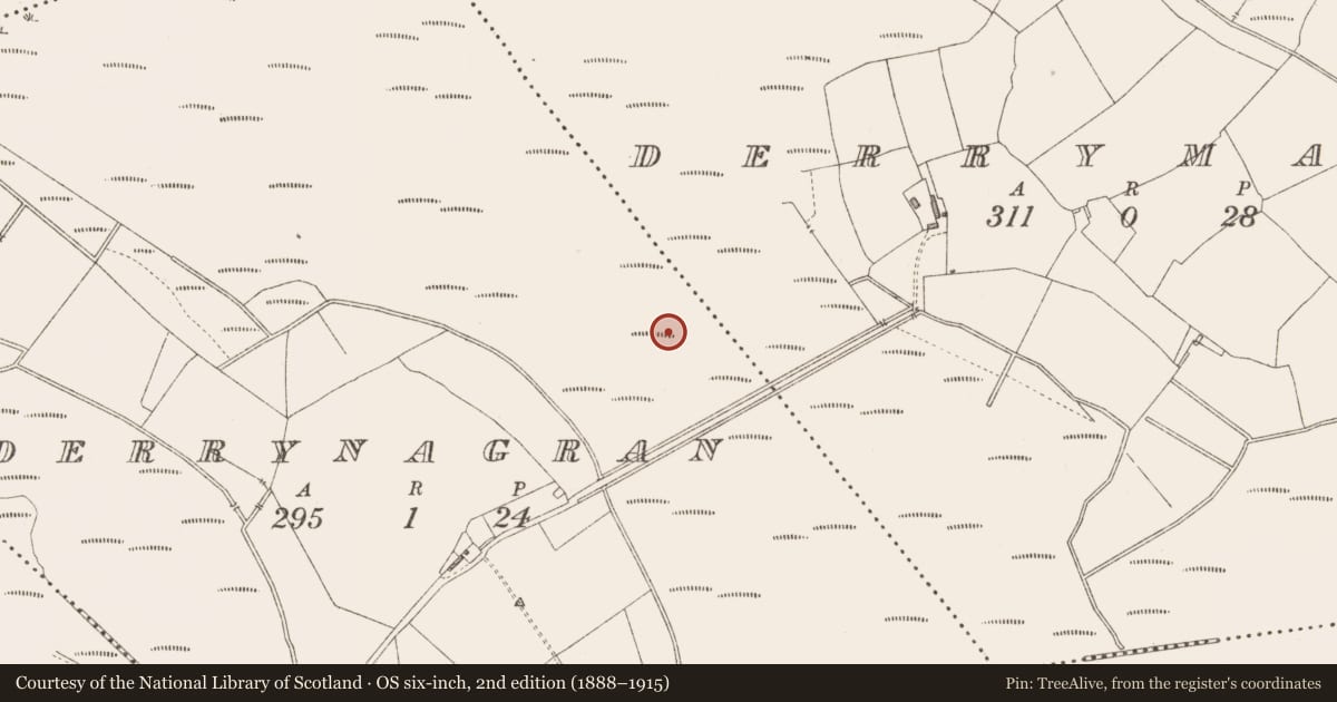 Ordnance Survey six-inch map, 2nd edition (1888–1915) covering the location of Road - class 3 togher, Derrynagran, County Longford, with a pin at the register's coordinates