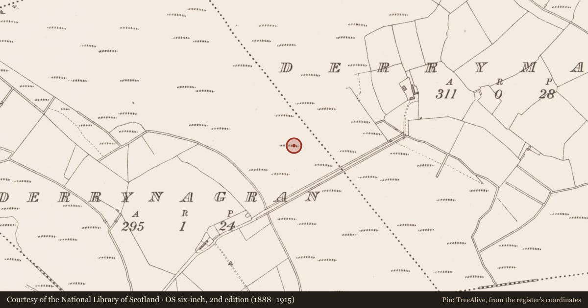 Ordnance Survey six-inch map, 2nd edition (1888–1915) covering the location of Road - class 2 togher, Derrynagran, County Longford, with a pin at the register's coordinates