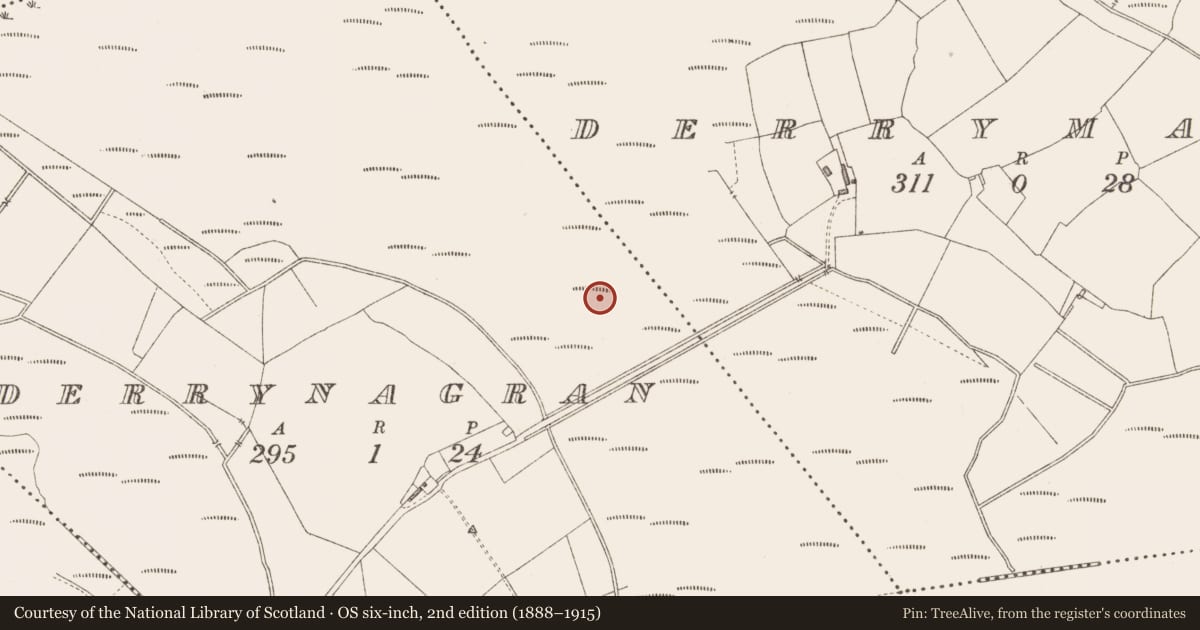 Ordnance Survey six-inch map, 2nd edition (1888–1915) covering the location of Road - class 3 togher, Derrynagran, County Longford, with a pin at the register's coordinates