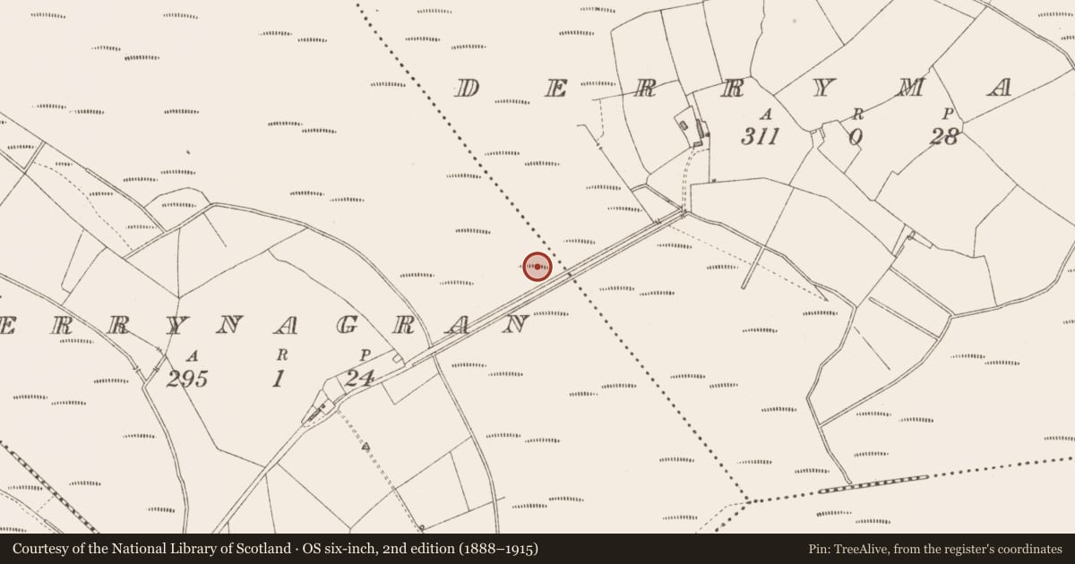 Ordnance Survey six-inch map, 2nd edition (1888–1915) covering the location of Road - class 3 togher, Derrynagran, County Longford, with a pin at the register's coordinates