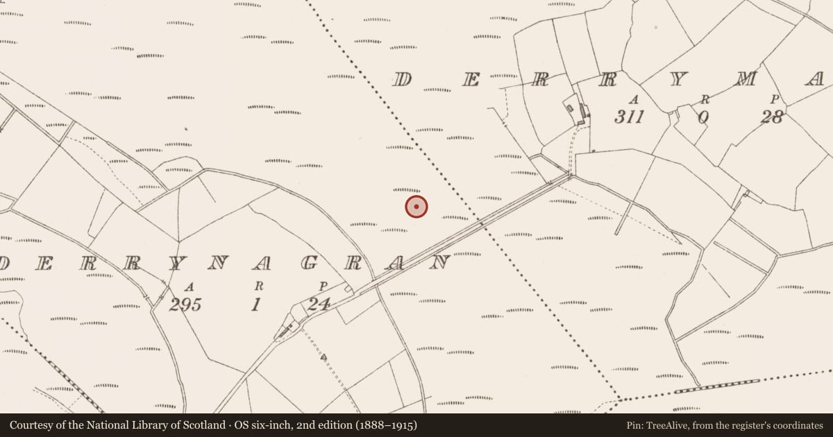 Ordnance Survey six-inch map, 2nd edition (1888–1915) covering the location of Road - class 3 togher, Derrynagran, County Longford, with a pin at the register's coordinates