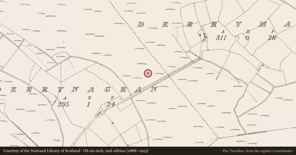 Ordnance Survey six-inch map, 2nd edition (1888–1915) covering the location of Road - class 3 togher, Derrynagran, County Longford, with a pin at the register's coordinates