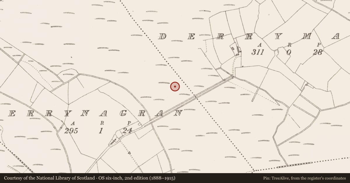 Ordnance Survey six-inch map, 2nd edition (1888–1915) covering the location of Structure - peatland, Derrynagran, County Longford, with a pin at the register's coordinates