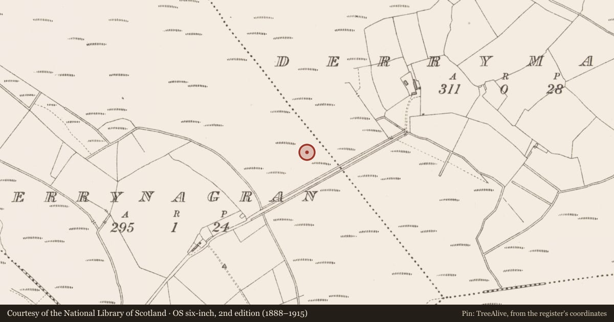 Ordnance Survey six-inch map, 2nd edition (1888–1915) covering the location of Structure - peatland, Derrynagran, County Longford, with a pin at the register's coordinates