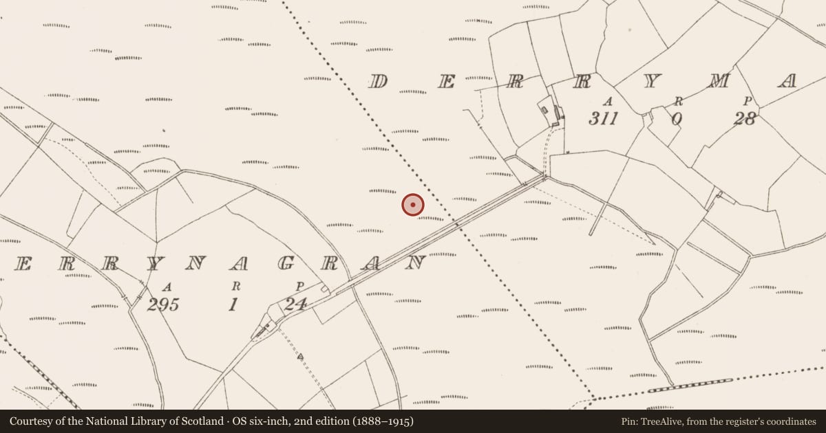 Ordnance Survey six-inch map, 2nd edition (1888–1915) covering the location of Structure - peatland, Derrynagran, County Longford, with a pin at the register's coordinates