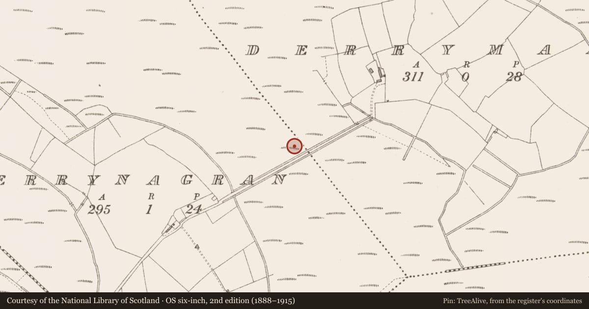 Ordnance Survey six-inch map, 2nd edition (1888–1915) covering the location of Road - class 3 togher, Derrynagran, County Longford, with a pin at the register's coordinates