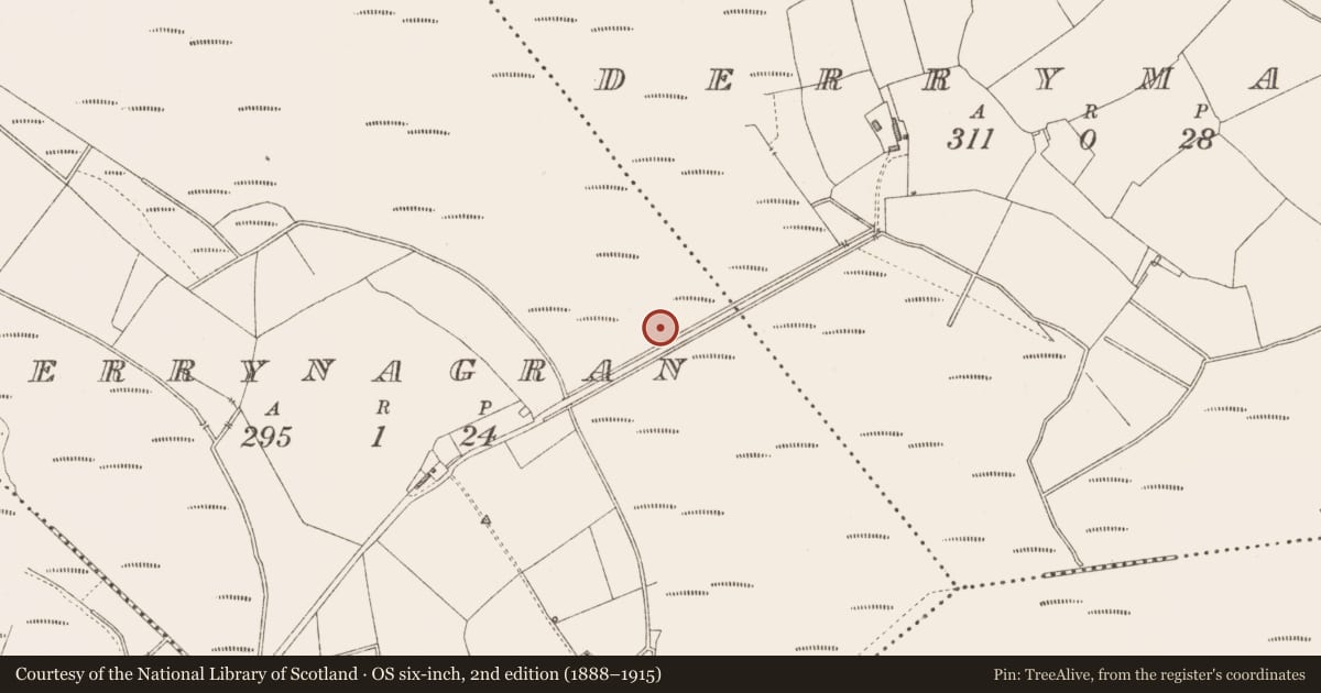 Ordnance Survey six-inch map, 2nd edition (1888–1915) covering the location of Road - class 3 togher, Derrynagran, County Longford, with a pin at the register's coordinates