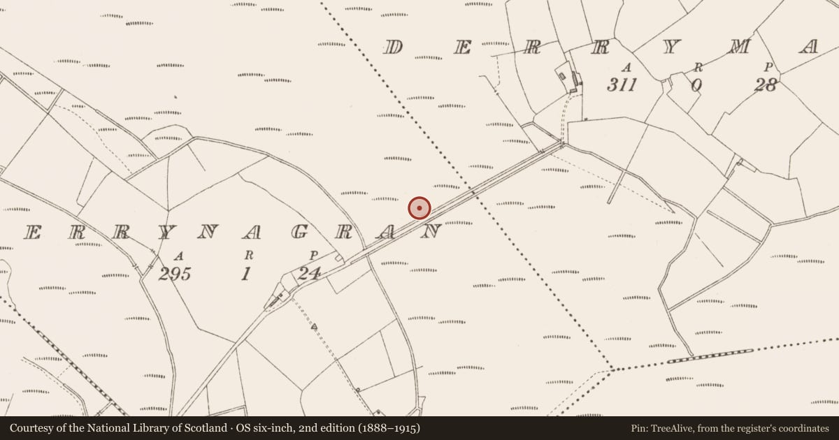 Ordnance Survey six-inch map, 2nd edition (1888–1915) covering the location of Road - class 3 togher, Derrynagran, County Longford, with a pin at the register's coordinates