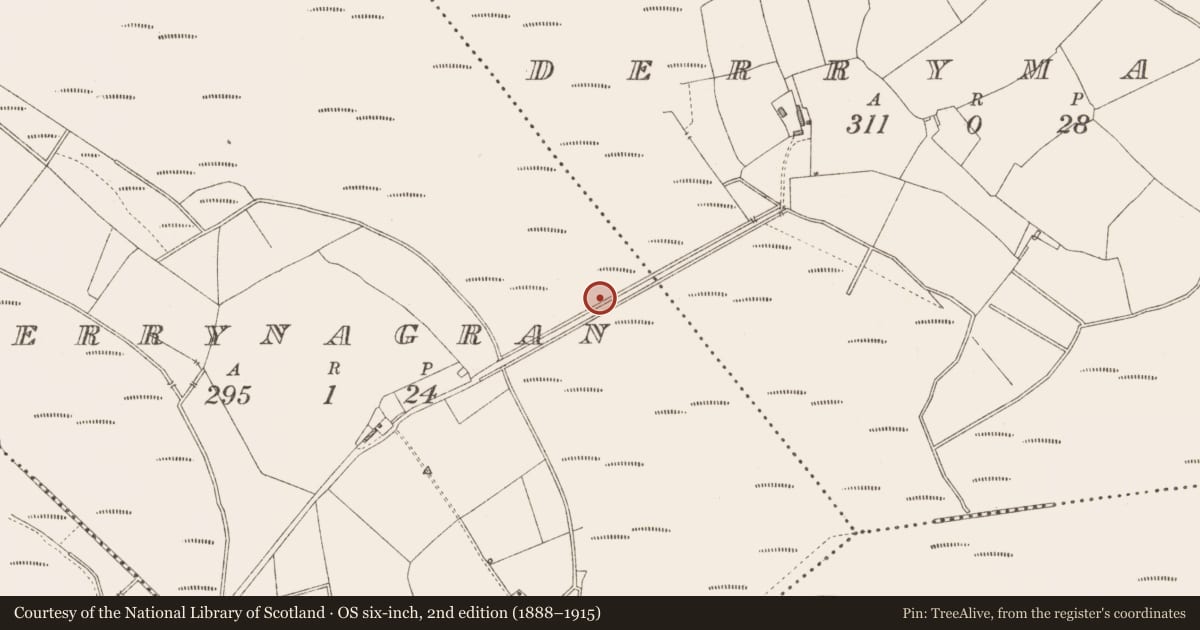 Ordnance Survey six-inch map, 2nd edition (1888–1915) covering the location of Road - class 3 togher, Derrynagran, County Longford, with a pin at the register's coordinates
