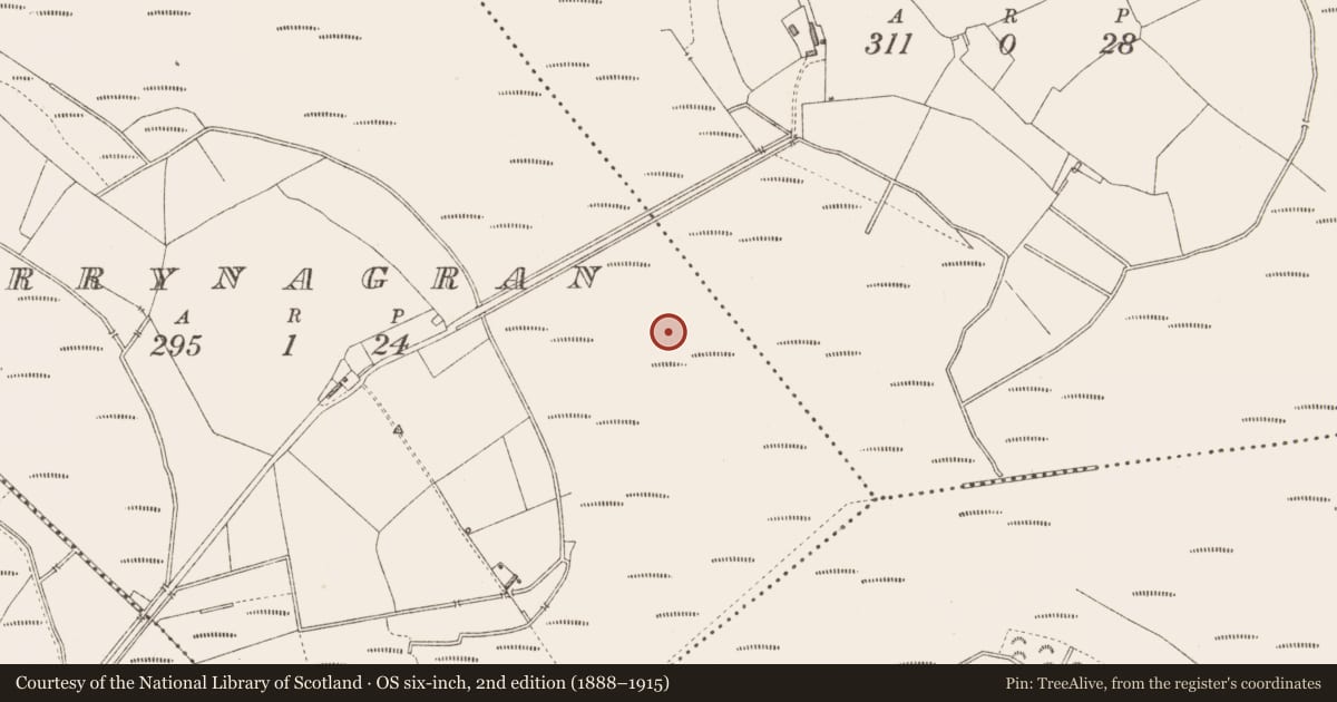 Ordnance Survey six-inch map, 2nd edition (1888–1915) covering the location of Road - class 3 togher, Derrynagran, County Longford, with a pin at the register's coordinates