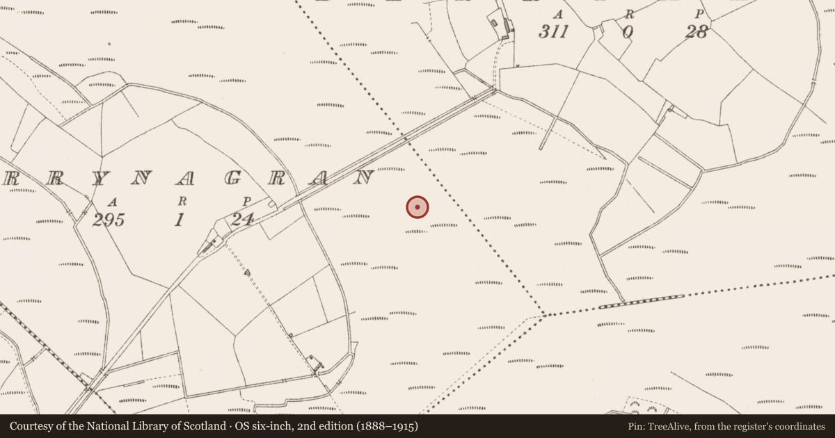 Ordnance Survey six-inch map, 2nd edition (1888–1915) covering the location of Road - class 3 togher, Derrynagran, County Longford, with a pin at the register's coordinates
