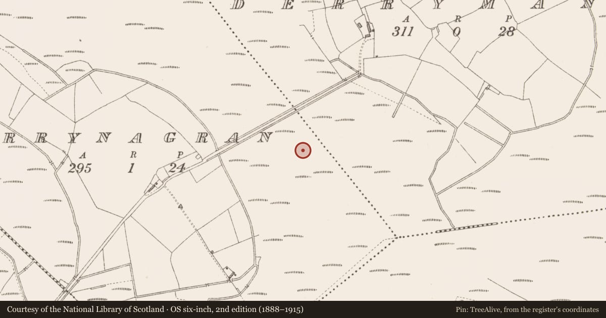 Ordnance Survey six-inch map, 2nd edition (1888–1915) covering the location of Road - class 3 togher, Derrynagran, County Longford, with a pin at the register's coordinates