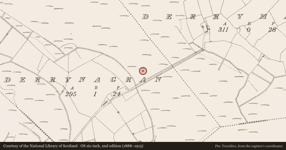 Ordnance Survey six-inch map, 2nd edition (1888–1915) covering the location of Road - class 2 togher, Derrynagran, County Longford, with a pin at the register's coordinates
