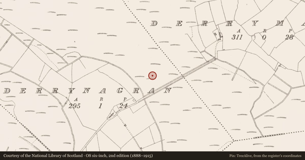 Ordnance Survey six-inch map, 2nd edition (1888–1915) covering the location of Road - class 3 togher, Derrynagran, County Longford, with a pin at the register's coordinates