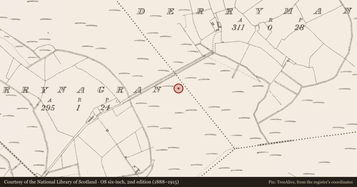 Ordnance Survey six-inch map, 2nd edition (1888–1915) covering the location of Road - class 3 togher, Derrymany, County Longford, with a pin at the register's coordinates