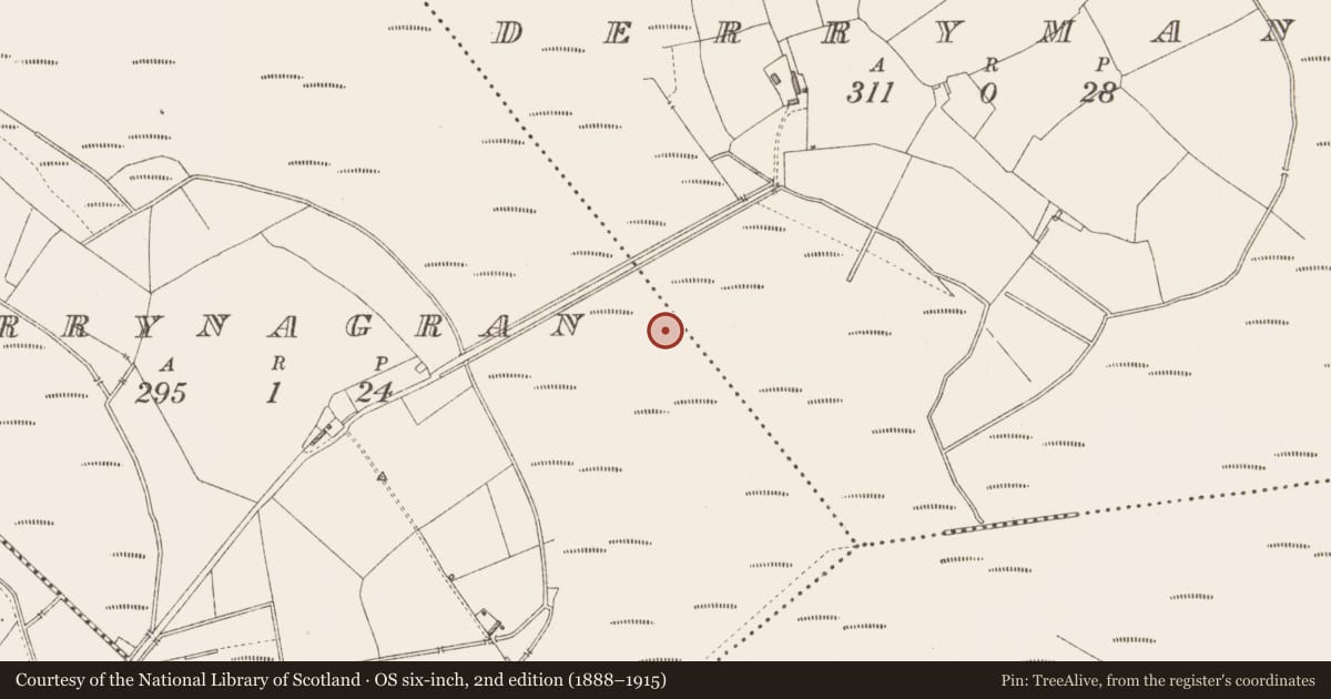 Ordnance Survey six-inch map, 2nd edition (1888–1915) covering the location of Road - class 3 togher, Derrymany, County Longford, with a pin at the register's coordinates