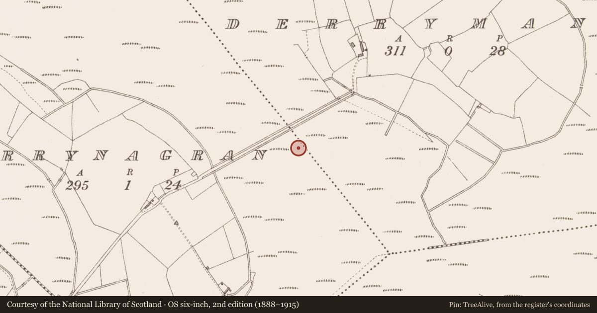 Ordnance Survey six-inch map, 2nd edition (1888–1915) covering the location of Road - class 3 togher, Derrymany, County Longford, with a pin at the register's coordinates