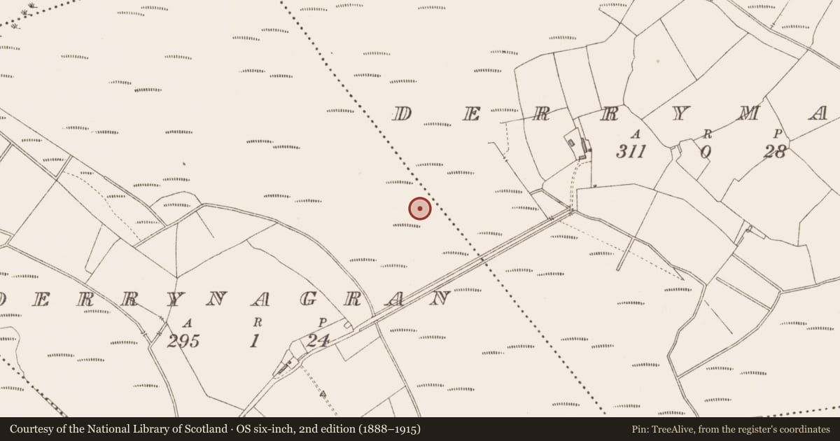 Ordnance Survey six-inch map, 2nd edition (1888–1915) covering the location of Road - class 3 togher, Derrymany, County Longford, with a pin at the register's coordinates