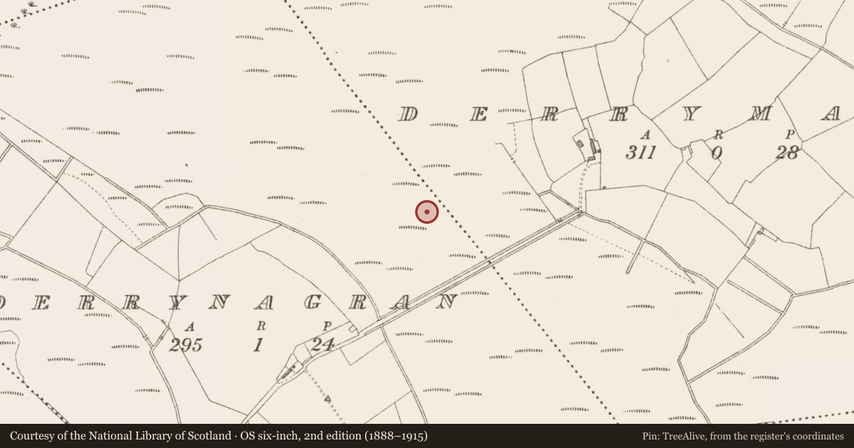 Ordnance Survey six-inch map, 2nd edition (1888–1915) covering the location of Road - class 3 togher, Derrymany, County Longford, with a pin at the register's coordinates
