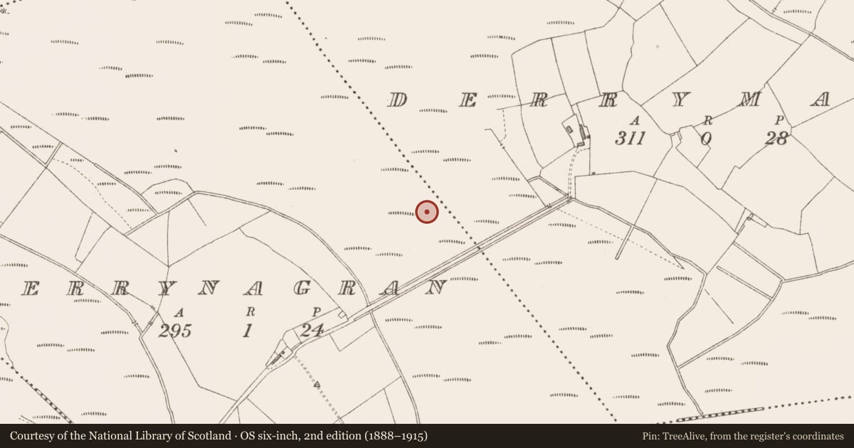 Ordnance Survey six-inch map, 2nd edition (1888–1915) covering the location of Road - class 3 togher, Derrymany, County Longford, with a pin at the register's coordinates
