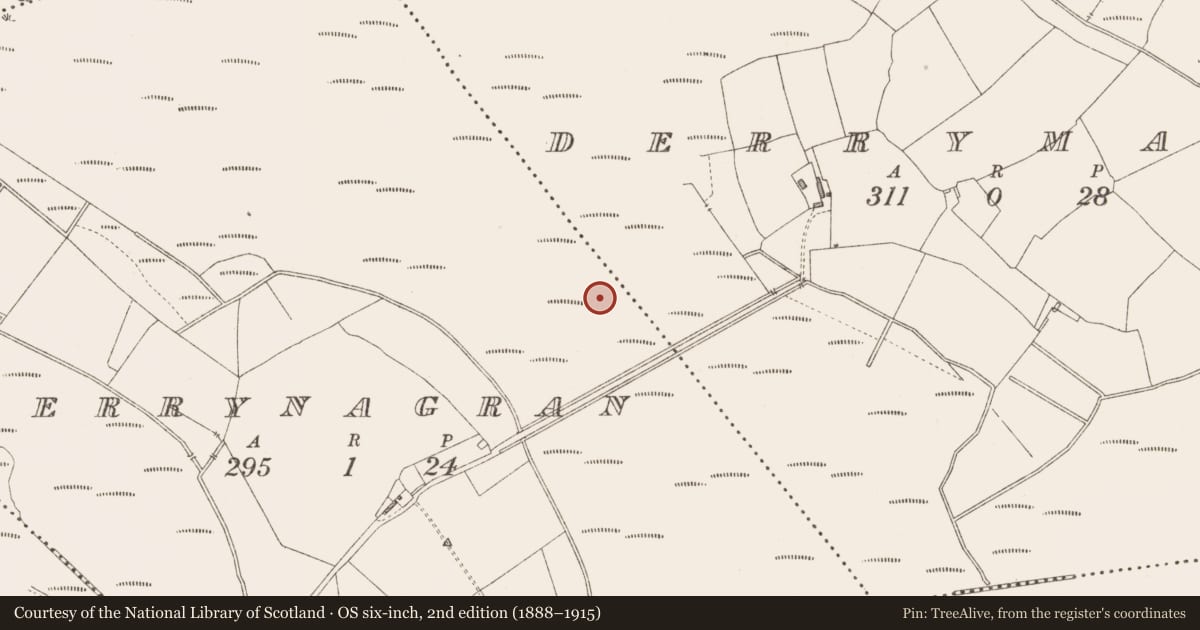 Ordnance Survey six-inch map, 2nd edition (1888–1915) covering the location of Road - class 3 togher, Derrymany, County Longford, with a pin at the register's coordinates