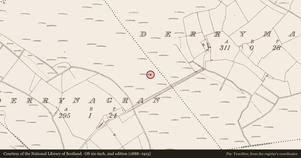 Ordnance Survey six-inch map, 2nd edition (1888–1915) covering the location of Road - class 2 togher, Derrymany, Derrynagran, County Longford, with a pin at the register's coordinates