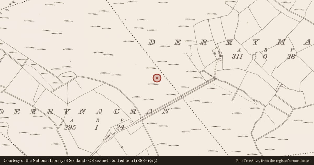 Ordnance Survey six-inch map, 2nd edition (1888–1915) covering the location of Road - class 3 togher, Derrymany, County Longford, with a pin at the register's coordinates