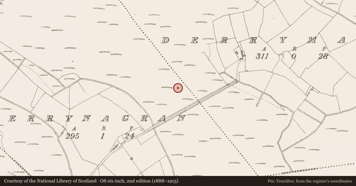 Ordnance Survey six-inch map, 2nd edition (1888–1915) covering the location of Road - class 3 togher, Derrymany, County Longford, with a pin at the register's coordinates