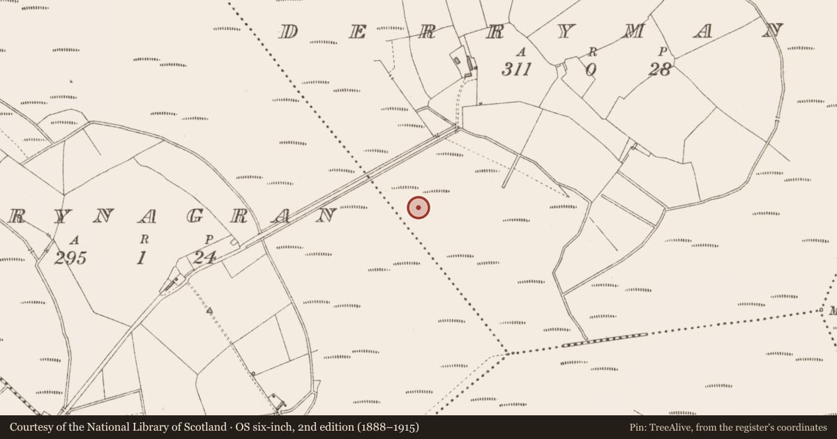 Ordnance Survey six-inch map, 2nd edition (1888–1915) covering the location of Road - class 3 togher, Derrymany, County Longford, with a pin at the register's coordinates