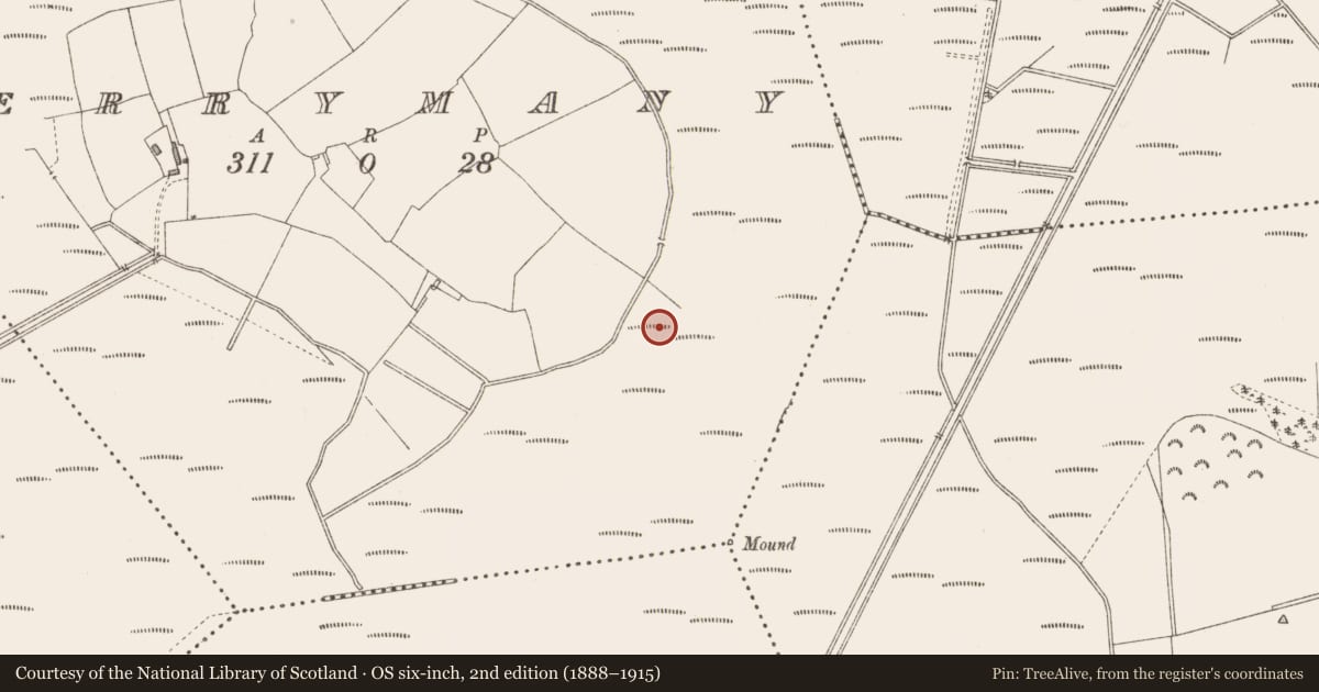 Ordnance Survey six-inch map, 2nd edition (1888–1915) covering the location of Road - class 3 togher, Derrymany, County Longford, with a pin at the register's coordinates