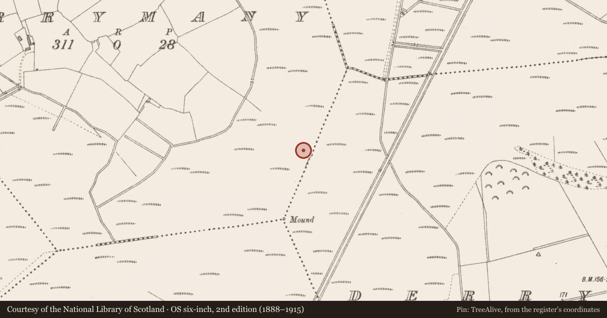 Ordnance Survey six-inch map, 2nd edition (1888–1915) covering the location of Road - class 3 togher, Derrymany, County Longford, with a pin at the register's coordinates