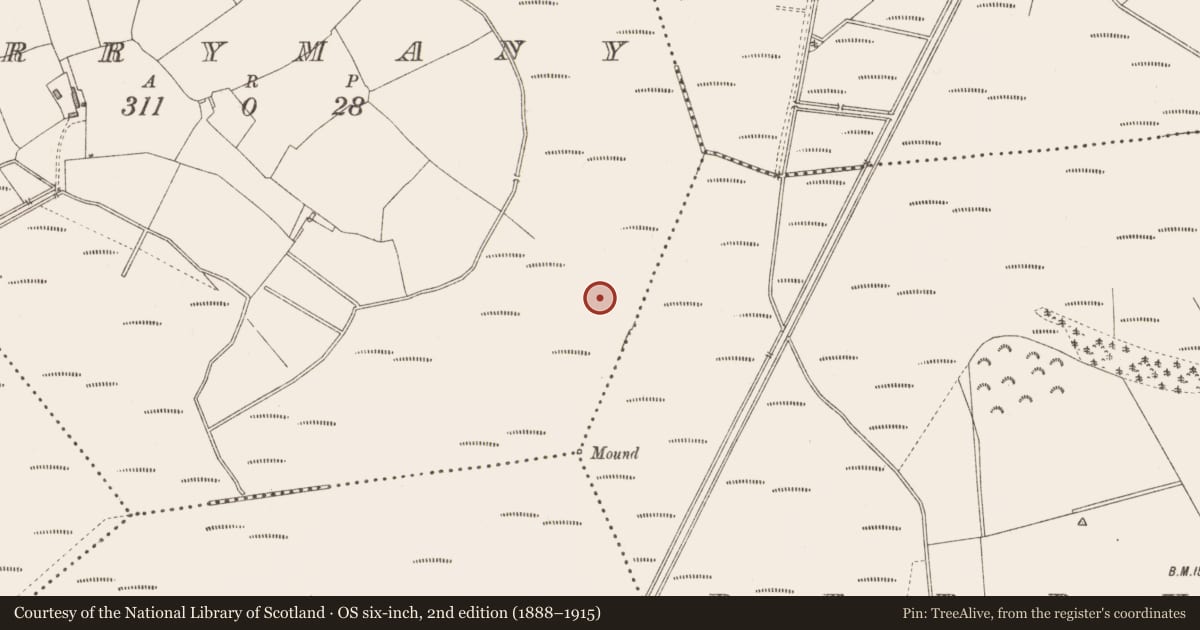 Ordnance Survey six-inch map, 2nd edition (1888–1915) covering the location of Road - class 3 togher, Derrymany, County Longford, with a pin at the register's coordinates