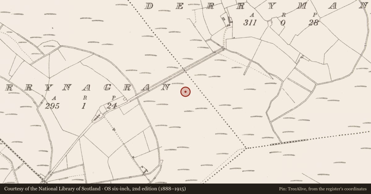 Ordnance Survey six-inch map, 2nd edition (1888–1915) covering the location of Structure - peatland, Derrynagran, County Longford, with a pin at the register's coordinates