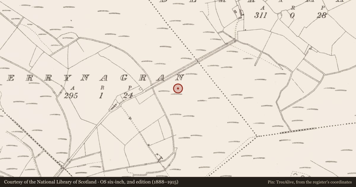 Ordnance Survey six-inch map, 2nd edition (1888–1915) covering the location of Structure - peatland, Derrynagran, County Longford, with a pin at the register's coordinates