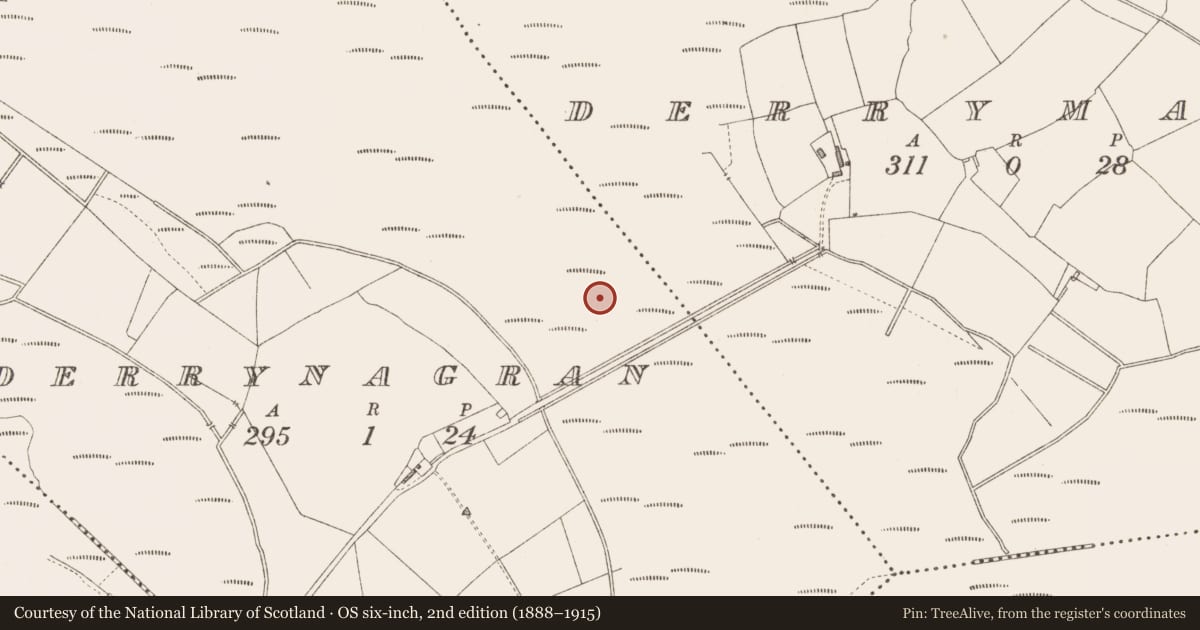 Ordnance Survey six-inch map, 2nd edition (1888–1915) covering the location of Road - class 3 togher, Derrynagran, County Longford, with a pin at the register's coordinates