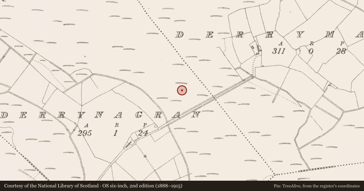 Ordnance Survey six-inch map, 2nd edition (1888–1915) covering the location of Road - class 3 togher, Derrynagran, County Longford, with a pin at the register's coordinates