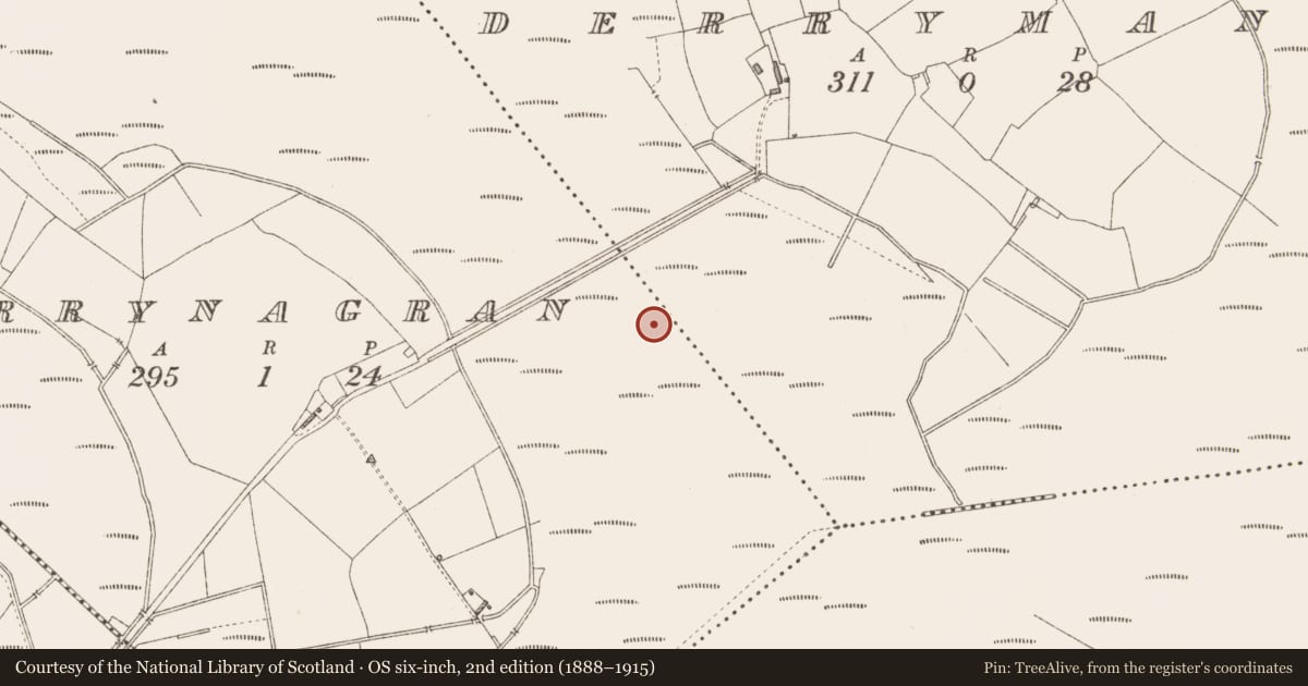 Ordnance Survey six-inch map, 2nd edition (1888–1915) covering the location of Structure - peatland, Derrymany, County Longford, with a pin at the register's coordinates
