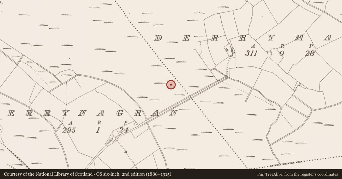 Ordnance Survey six-inch map, 2nd edition (1888–1915) covering the location of Structure - peatland, Derrymany, County Longford, with a pin at the register's coordinates