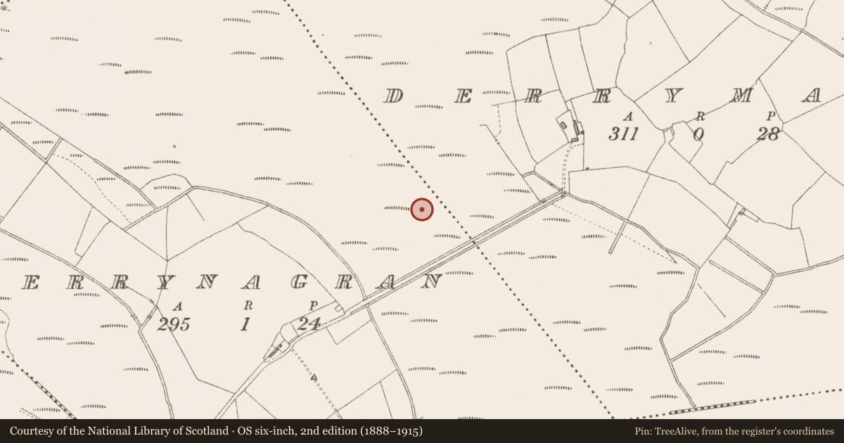 Ordnance Survey six-inch map, 2nd edition (1888–1915) covering the location of Structure - peatland, Derrymany, County Longford, with a pin at the register's coordinates