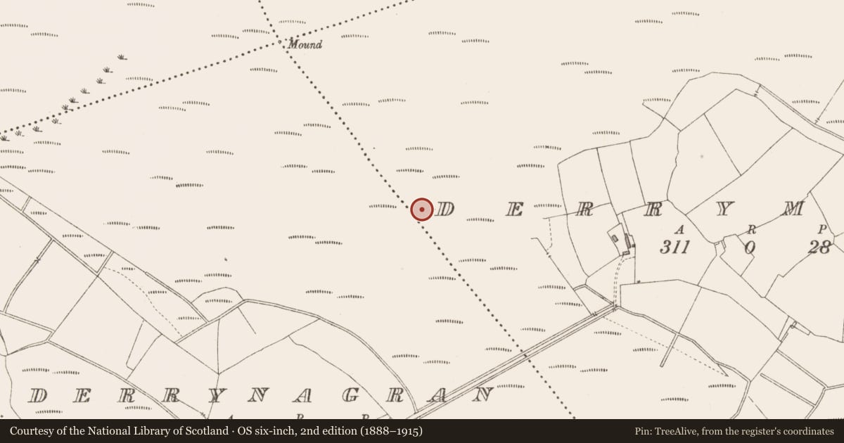 Ordnance Survey six-inch map, 2nd edition (1888–1915) covering the location of Platform - peatland, Derrynagran, County Longford, with a pin at the register's coordinates