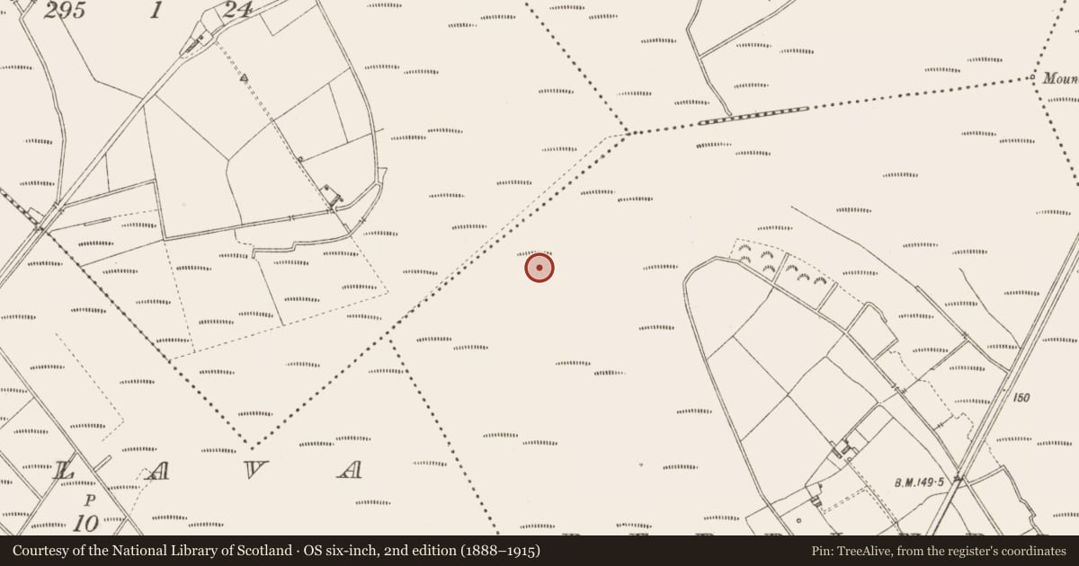 Ordnance Survey six-inch map, 2nd edition (1888–1915) covering the location of Road - class 1 togher, Derrindiff, County Longford, with a pin at the register's coordinates