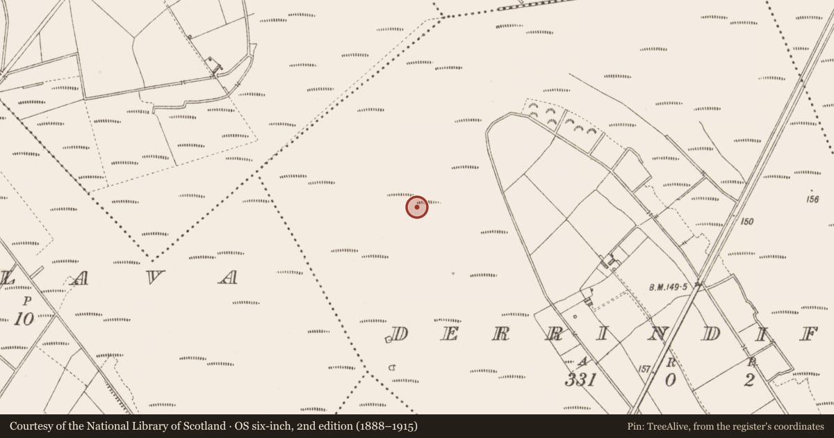 Ordnance Survey six-inch map, 2nd edition (1888–1915) covering the location of Road - class 3 togher, Derrindiff, County Longford, with a pin at the register's coordinates