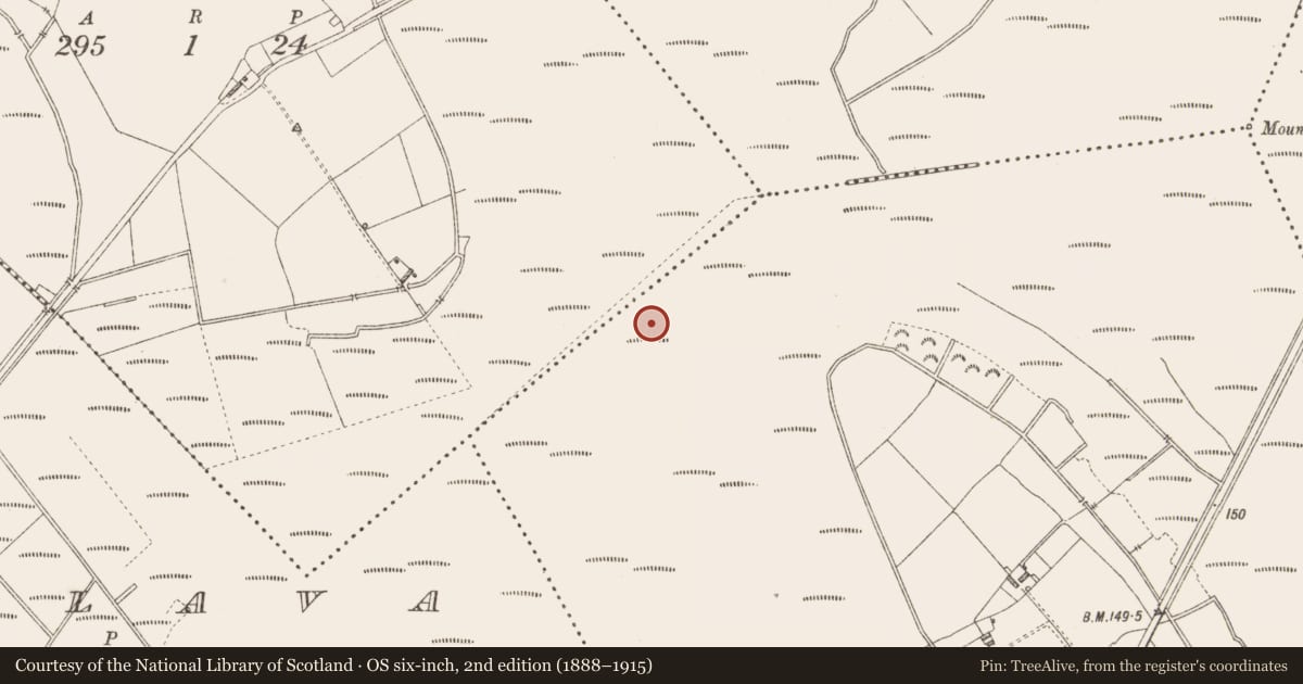 Ordnance Survey six-inch map, 2nd edition (1888–1915) covering the location of Road - class 3 togher, Derrindiff, County Longford, with a pin at the register's coordinates