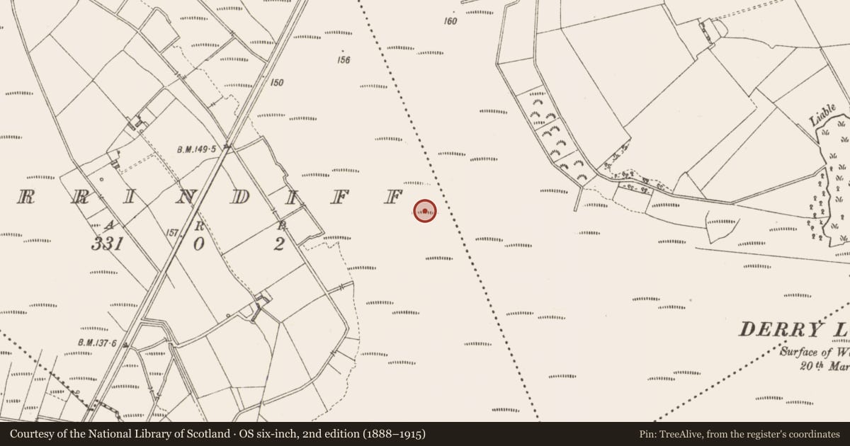 Ordnance Survey six-inch map, 2nd edition (1888–1915) covering the location of Road - class 3 togher, Derrindiff, County Longford, with a pin at the register's coordinates