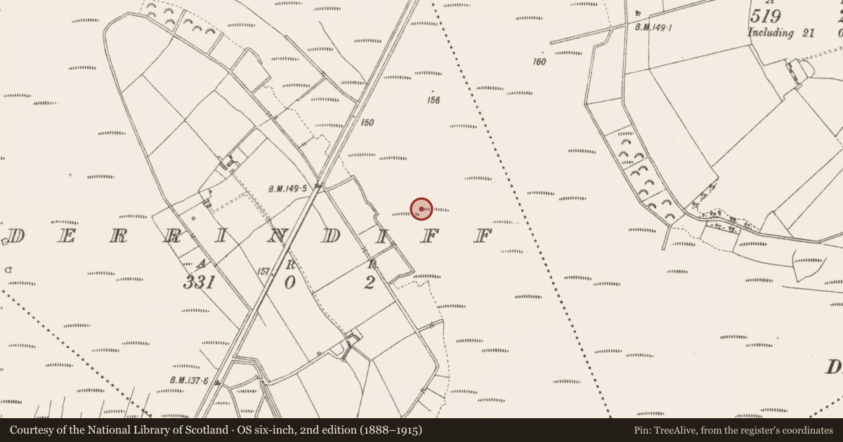 Ordnance Survey six-inch map, 2nd edition (1888–1915) covering the location of Road - class 3 togher, Derrindiff, County Longford, with a pin at the register's coordinates