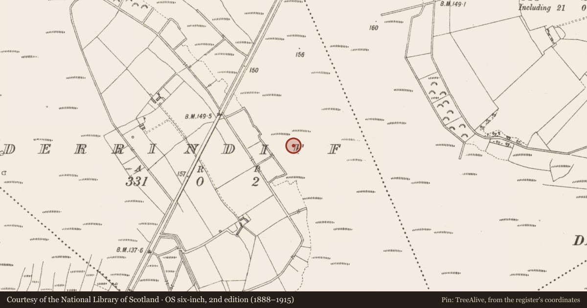 Ordnance Survey six-inch map, 2nd edition (1888–1915) covering the location of Road - class 3 togher, Derrindiff, County Longford, with a pin at the register's coordinates