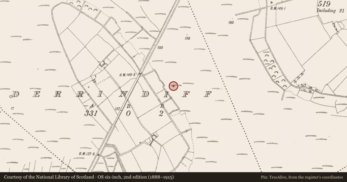 Ordnance Survey six-inch map, 2nd edition (1888–1915) covering the location of Road - class 3 togher, Derrindiff, County Longford, with a pin at the register's coordinates