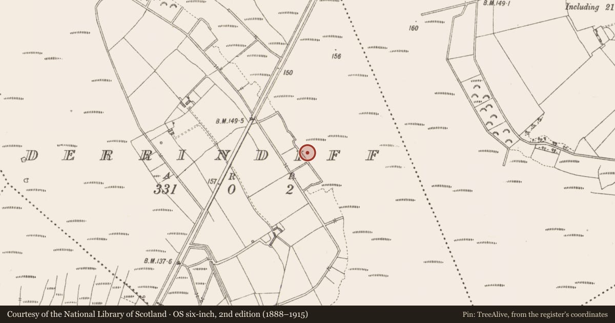 Ordnance Survey six-inch map, 2nd edition (1888–1915) covering the location of Road - class 2 togher, Derrylough, County Longford, with a pin at the register's coordinates